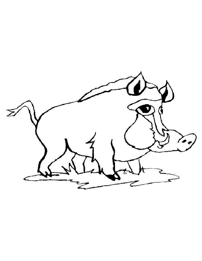 Pobarvanka divji prašiček